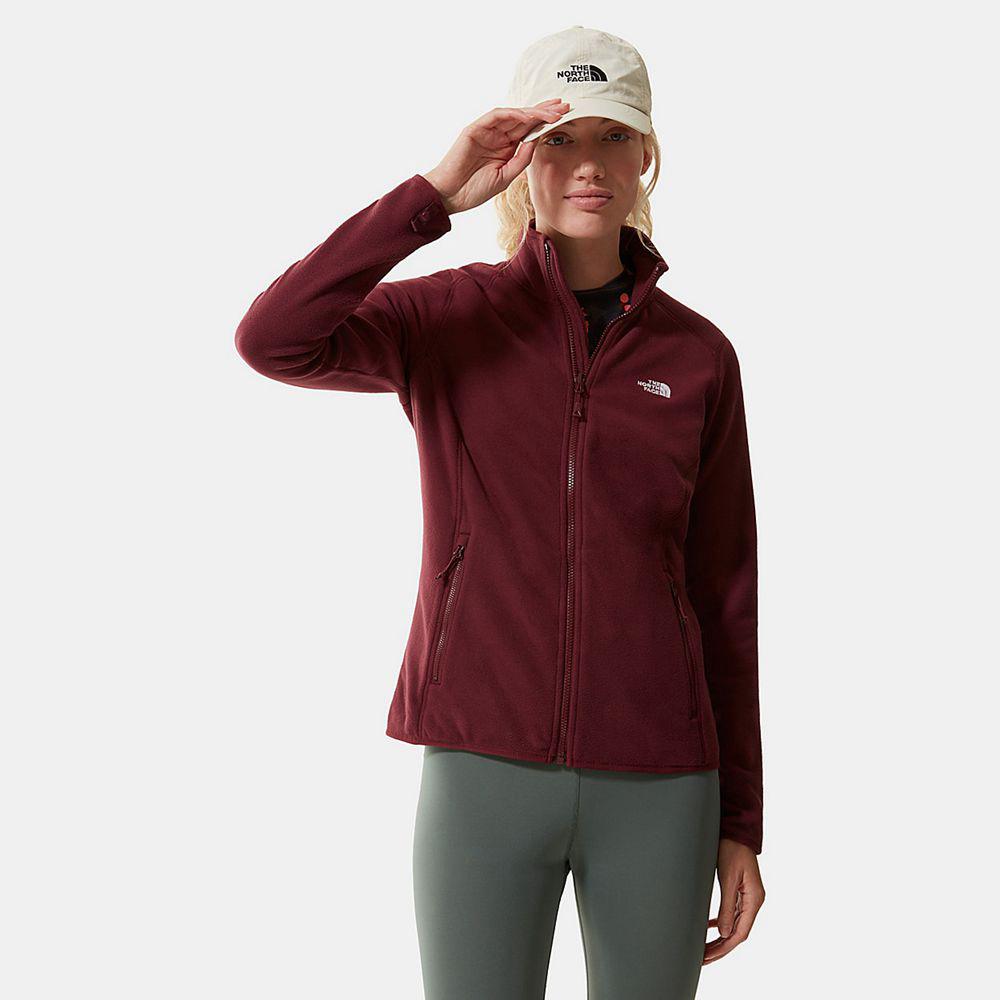 The North Face 100 Glacier Full-Zip Γυναικεια Fleece - Κοκκινα (FCND58049)